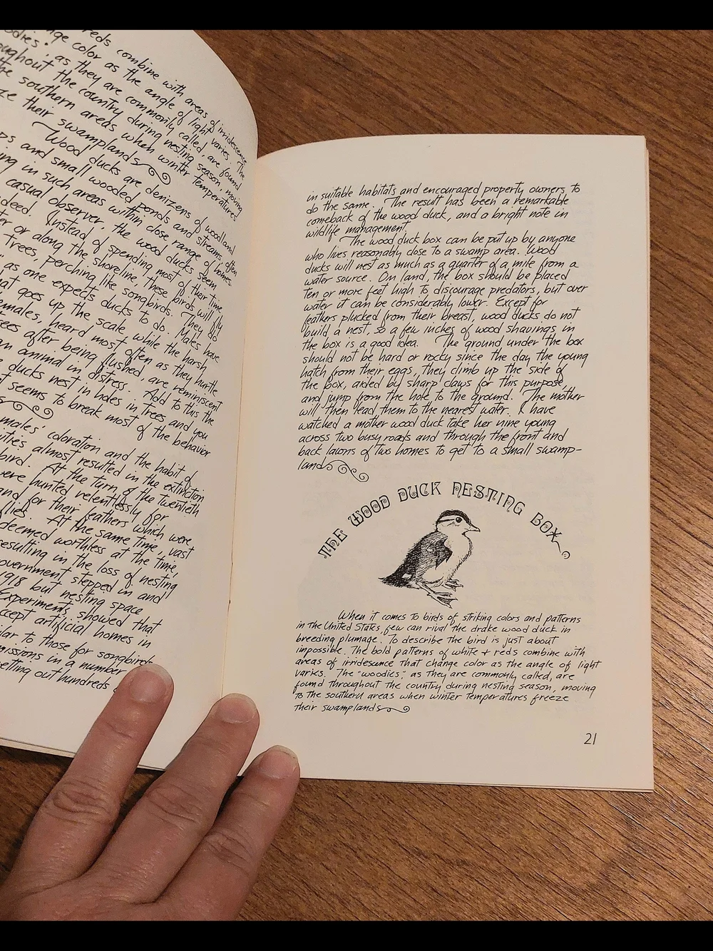 N/A classic guidebook